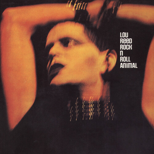 Lou reed rock - n, roll