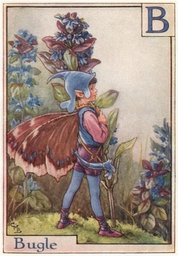 Bugle fairy by - fairy,