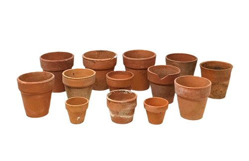 Vintage terracotta plant - vintage,