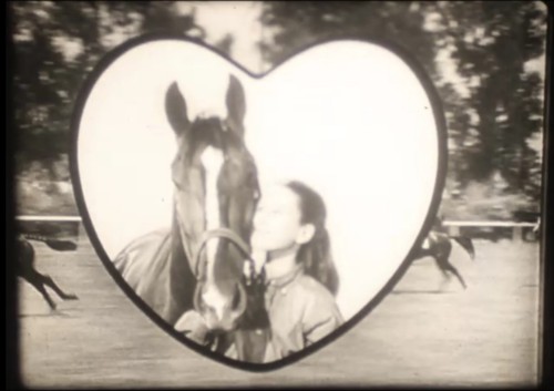 National velvet episode - national,