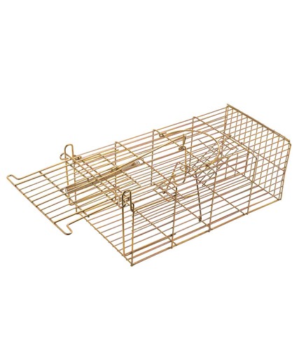 Rat trap mouse - mouse, catcher