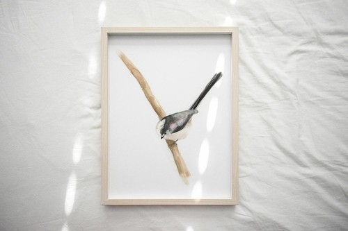 Long tailed tit watercolour - long,