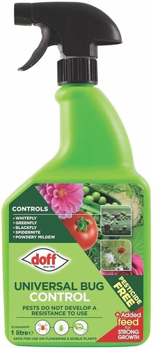 Doff fast acting bug fungus - acting,