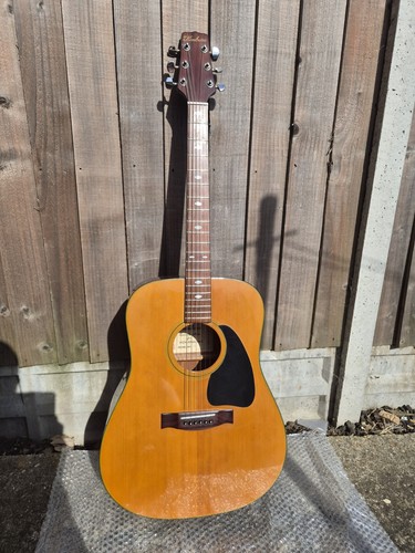 Vintage kimbara acoustic - vintage,