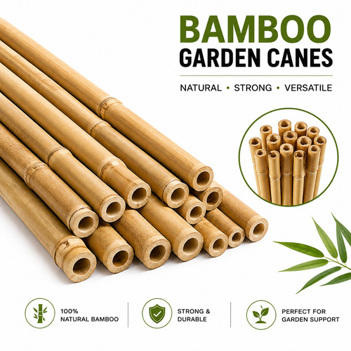 Natural bamboo garden canes - natural,