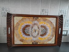 Butterfly wing tray / picture