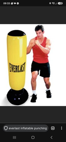 Everlast power tower - power,