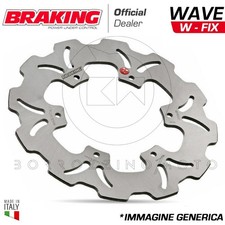 WF8113 Rear Brake Disc Braking