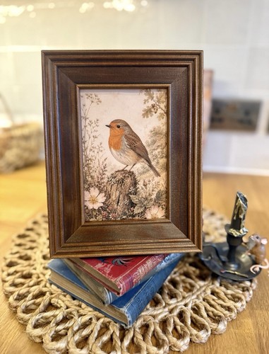 Framed robin wall art - framed,
