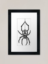 Garden Spider Framed Art Print
