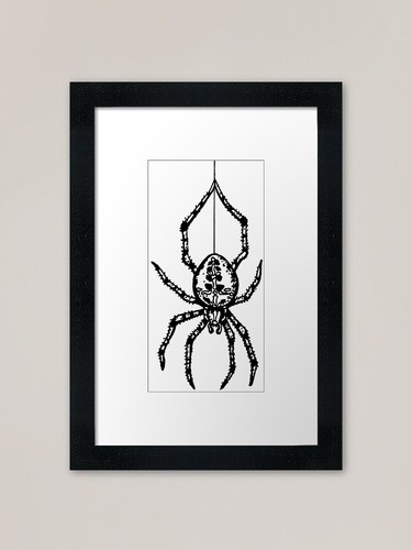 Garden spider framed art - spider, print