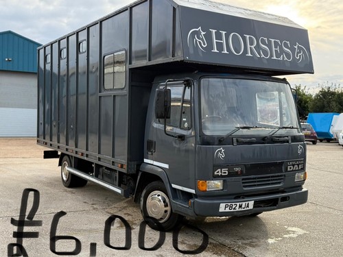 Horse box 5 - box, 7.5
