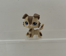 Littlest Pet shop. Littlest
