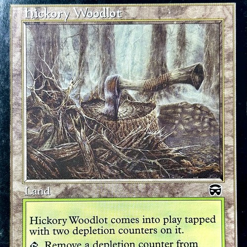 Hickory woodlot reg - hickory,