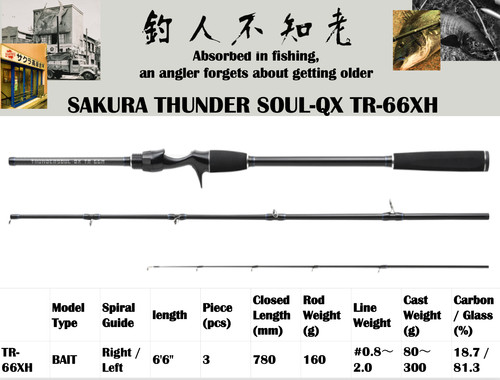 Jdm lure fishing rod - jdm,