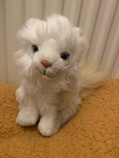 Living Nature Ragdoll Kitten