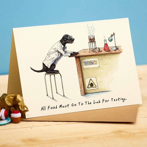 Funny labrador dog lab - lab, testing