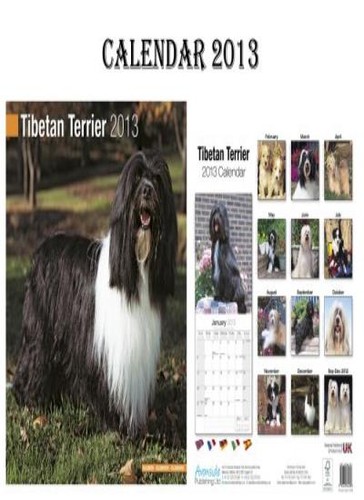 Tibetan terrier dogs calendar - tibetan,