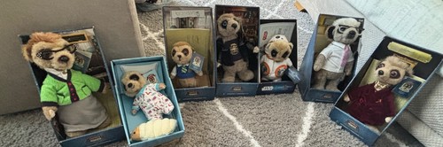 Compare the meerkat - meerkat, x