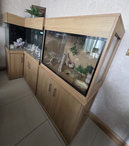 Oak vivarium and fish - fish, tank
