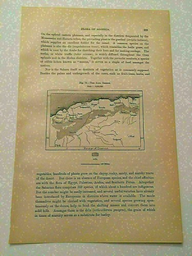 K118 map the - map, alfra
