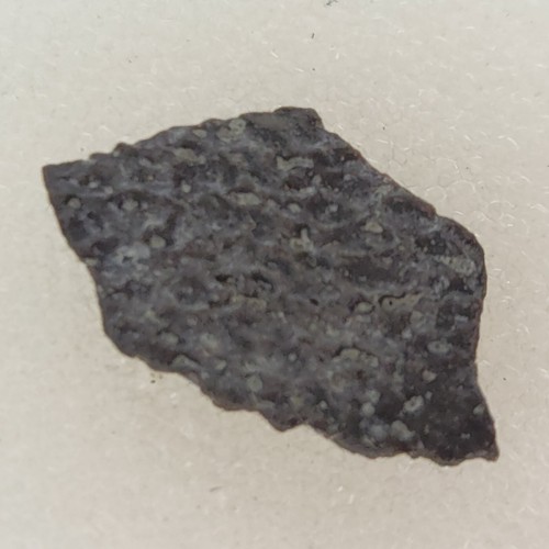 Hadrosaur egg shell fossil - fossil,