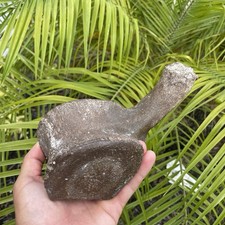 Leviathan whale vertebra - whale,