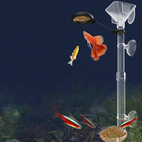 Shrimp fish feeding food water - fish,