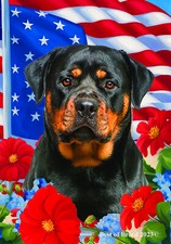 Rottweiler All-American