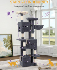 193cm Extra Large Tall Cat