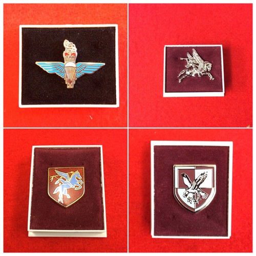 Para lapel badge airborne - lapel,