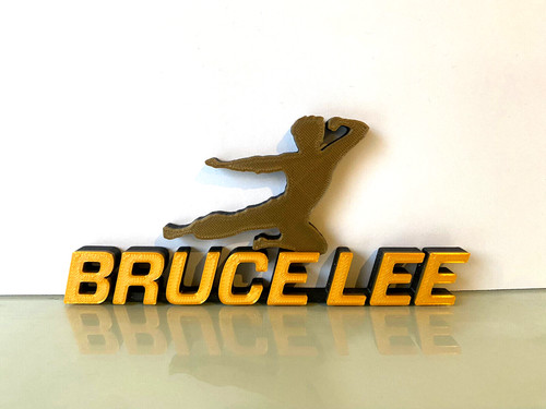 Bruce lee logo martial - martial, arts