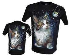 Kittens Cats Cute animal Moon