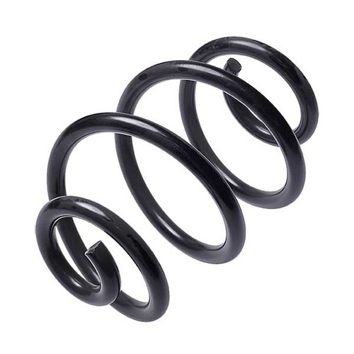 Rear coil spring - coil,