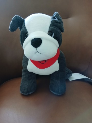 Mini bulldog - mini,