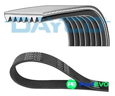 DAYCO V-RIBBED BELT 7PK1270S