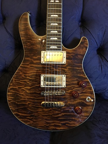 Peavey exp signature guitar - signature,