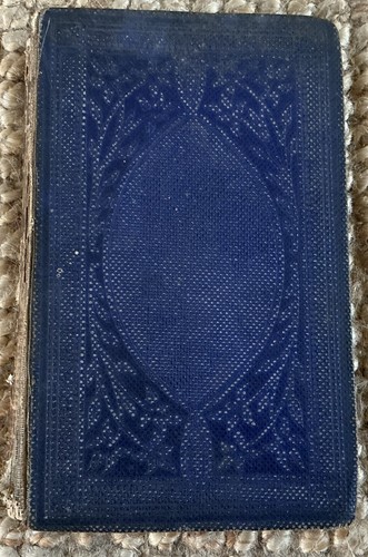 Antique 1861 british - british, ferns
