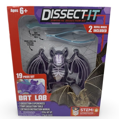 Dissect bat lab synthetic - dissect-it,