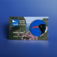 RSPB - Pin Badge CORNISH