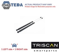 8710 38248 TAILGATE BOOT