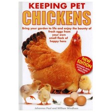 Keeping Pet Chickens Health