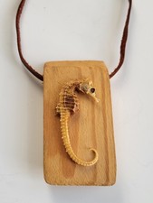 Real Seahorse Taxidermy