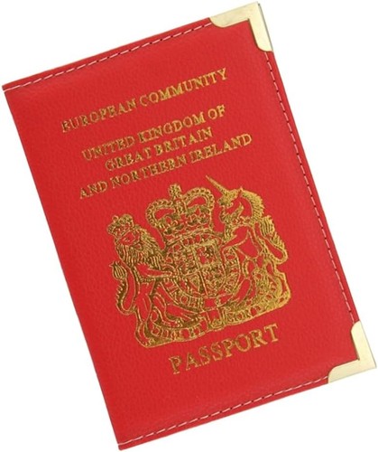 Travel wallet modern - wallet:, red