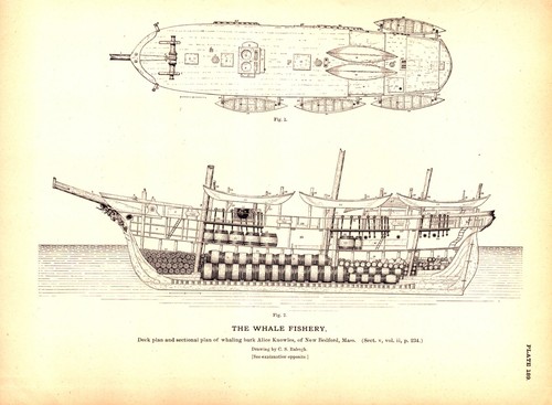 Deck plan whaling - bark, ,