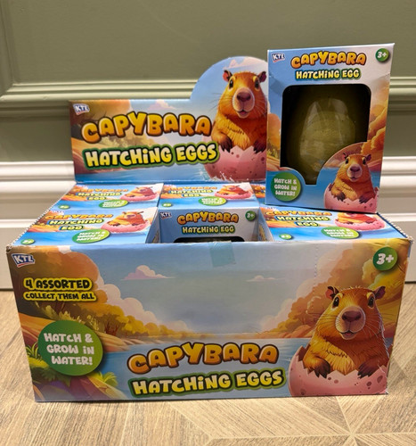 Ktl capybara hatching - hatching, egg