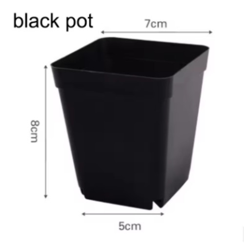 Square plant pots 7cm 2 - 2, 3