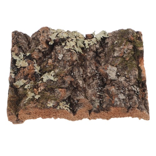 Lizard bark reptile background - bark,