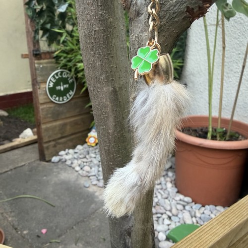 Real lucky rabbits foot - rabbits,