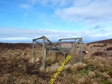 Photo 8x6 Larsen Trap West